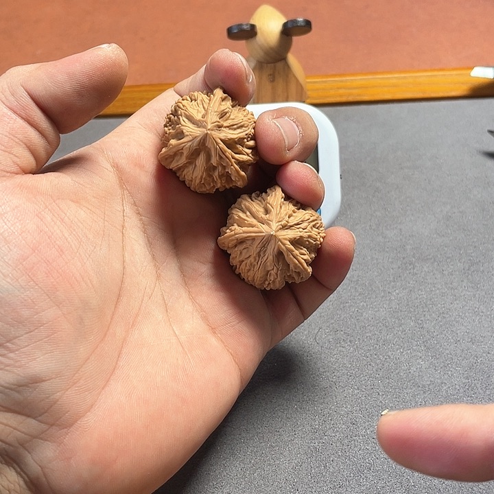 文玩核桃把件御龙粗筋