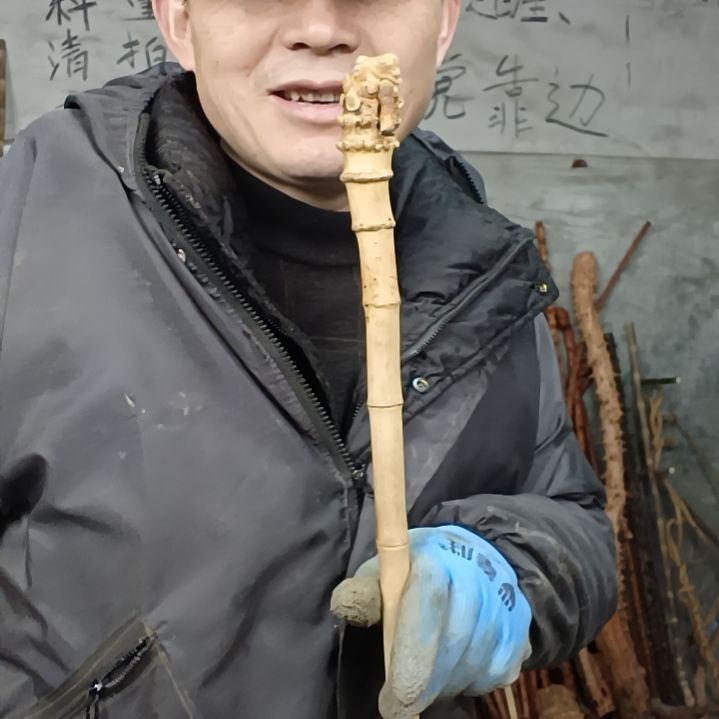 稳定木哈*贵州檬子木   铁马鞭   根艺  半成品