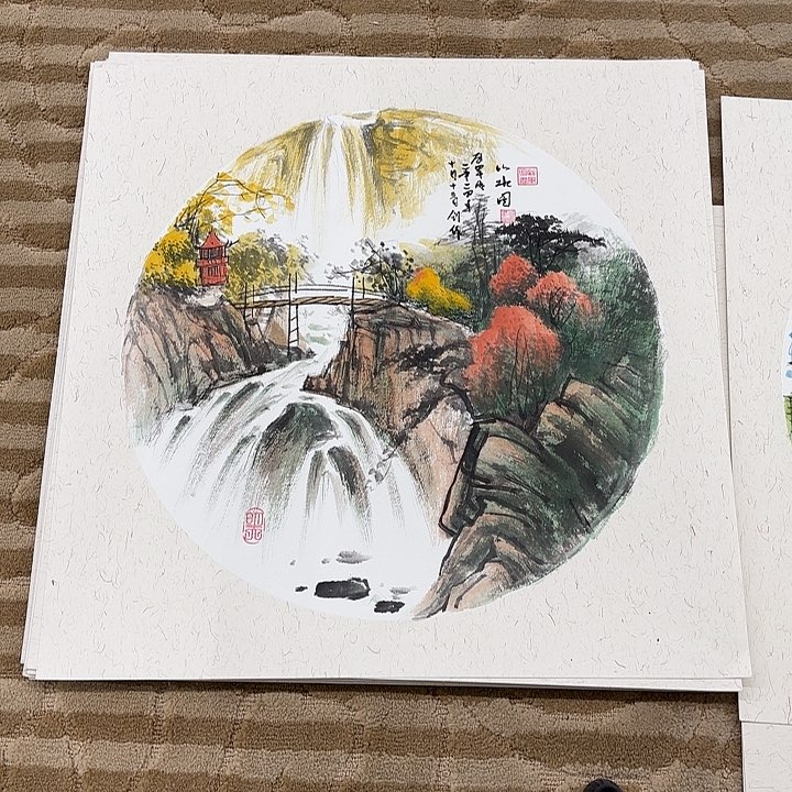 国画松*狼花鸟等多种鸟类和鸟类