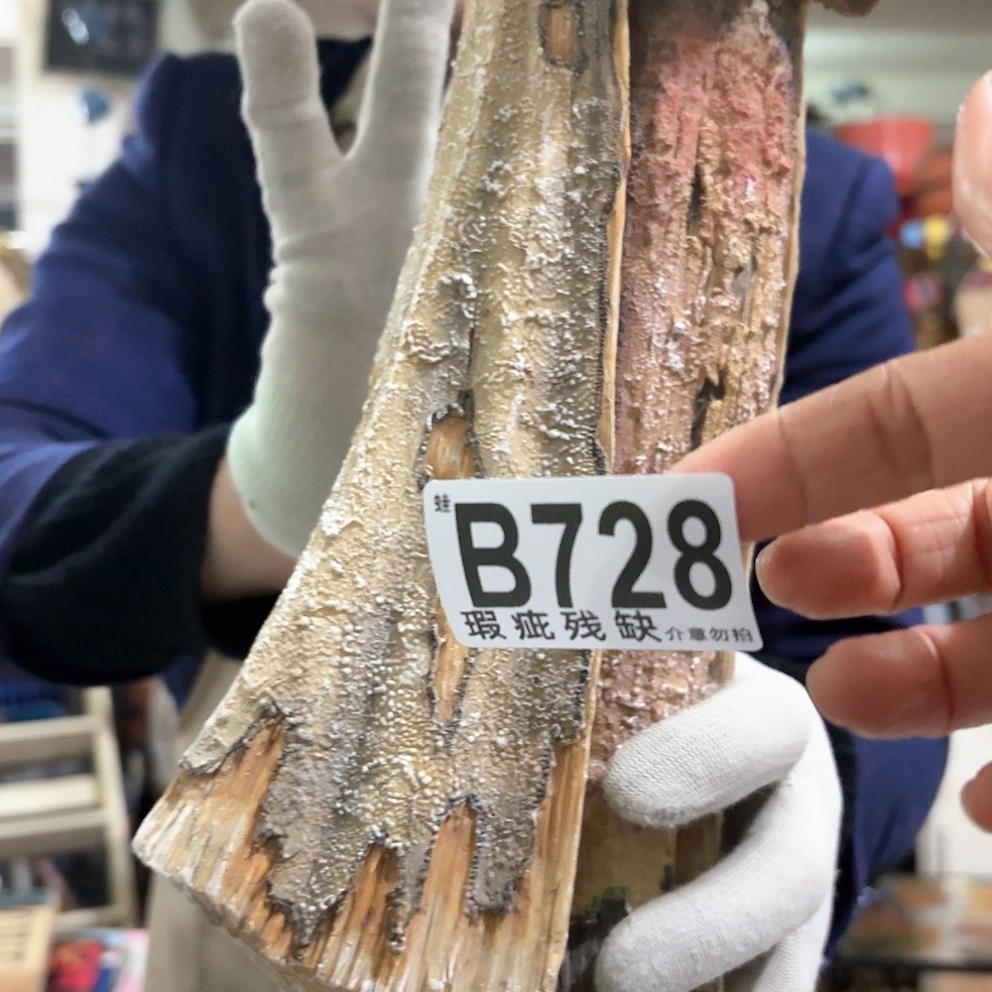 核桃木/黑胡桃（胡桃木）