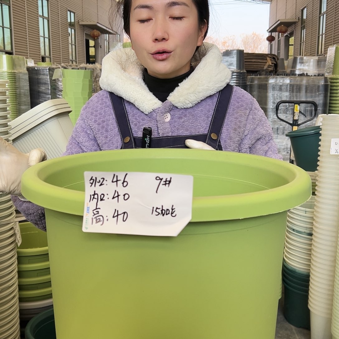 四季盆9#果绿4个无托