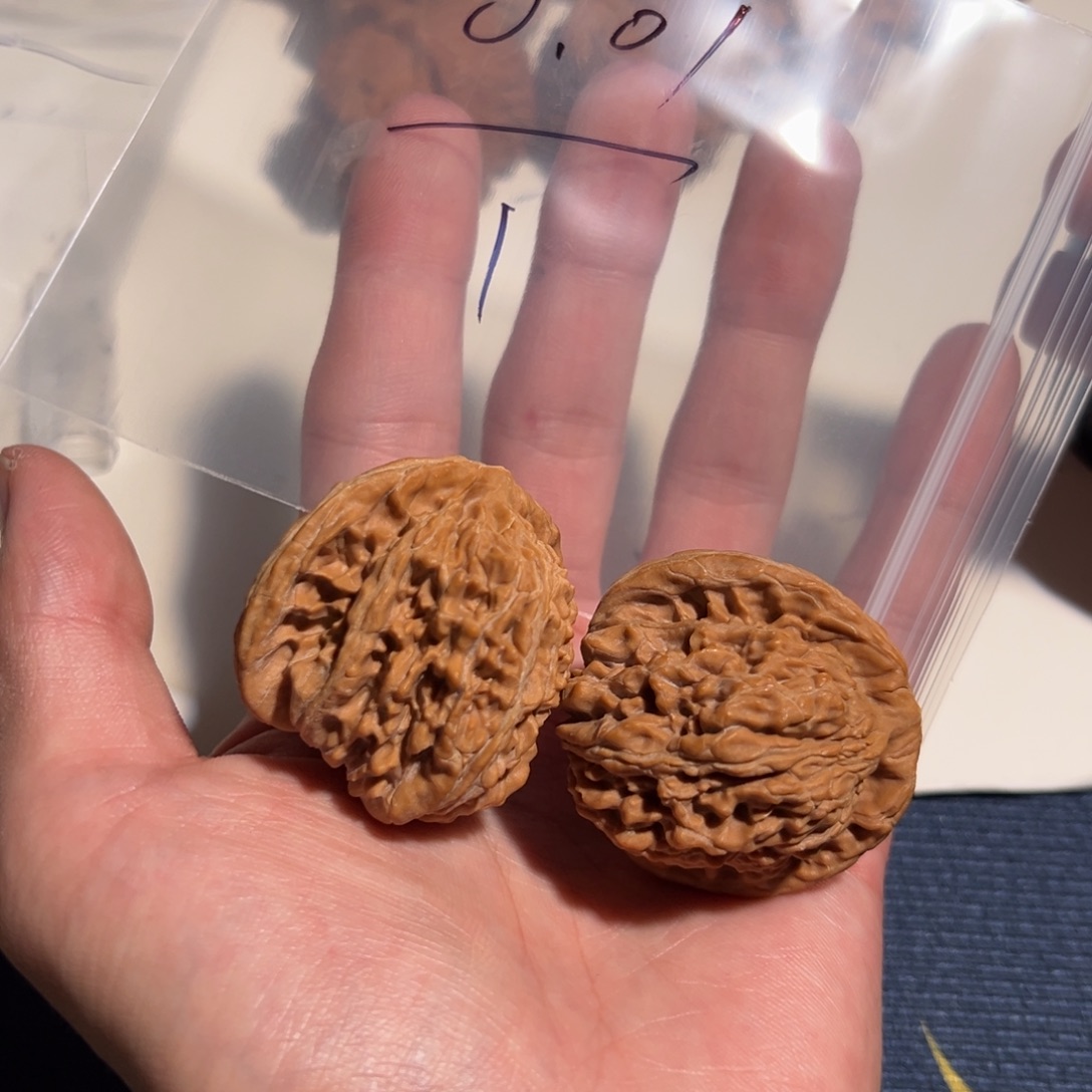 手串/手链核桃0.01