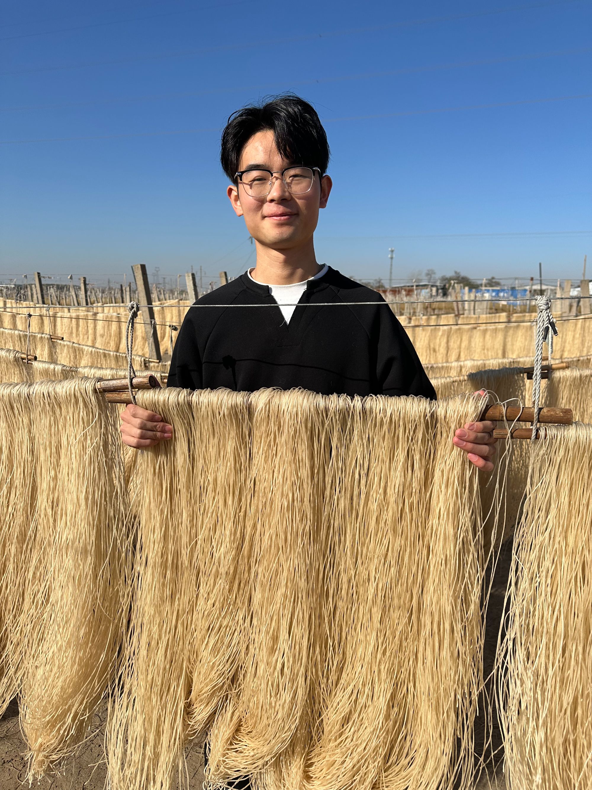 支持试吃正宗河南手工红薯粉条2025无胶无色素~送红薯淀粉