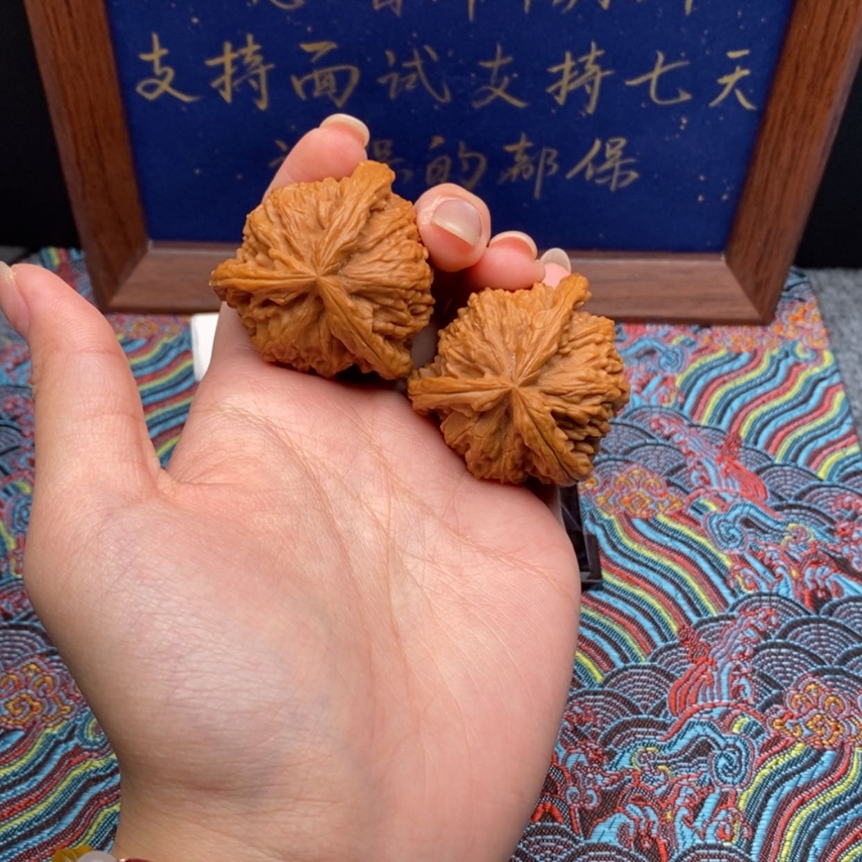 【闪购商品】瑞****兄白狮