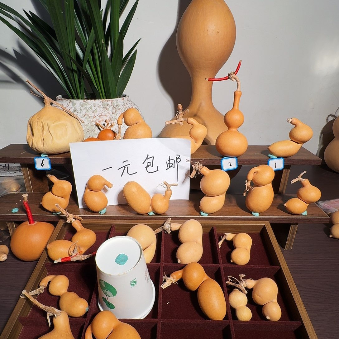 辽***哥弓形虫是人类最早在此