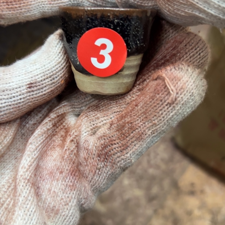 无***胜杯瓷器瓷器瓷器瓷器