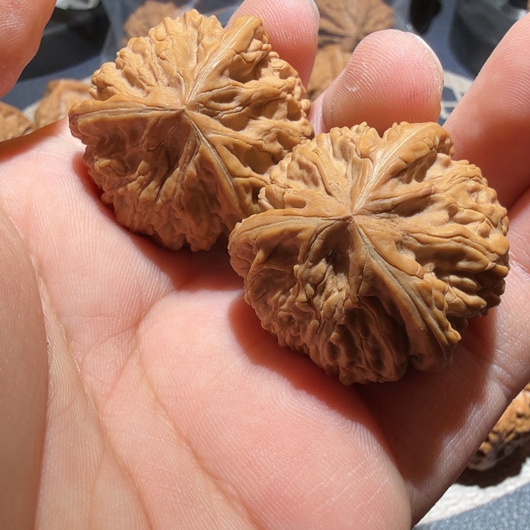 文玩核桃把件御龙