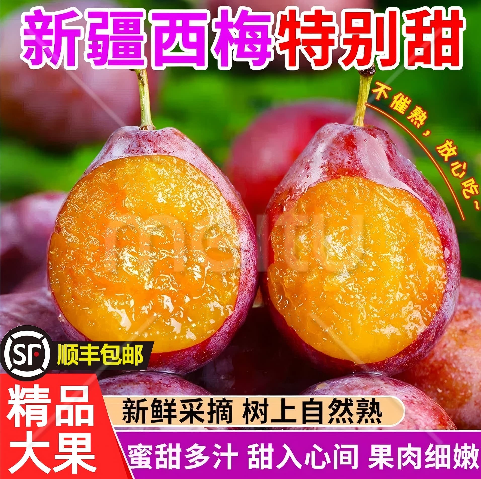 [顺丰包邮]新疆喀什法兰西西梅新鲜采摘香甜多汁空运直发应季水果