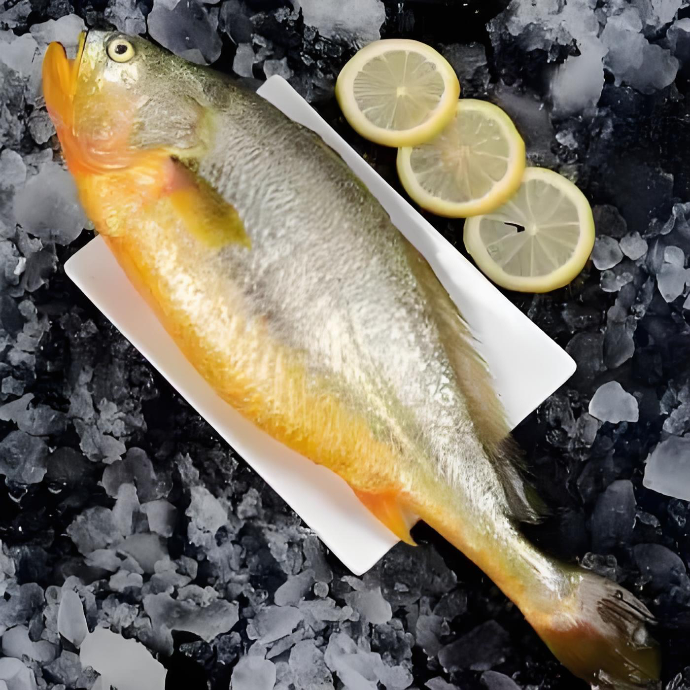 大黄花鱼 2条 3斤左右（单只1.5斤左右）本市同城当日达