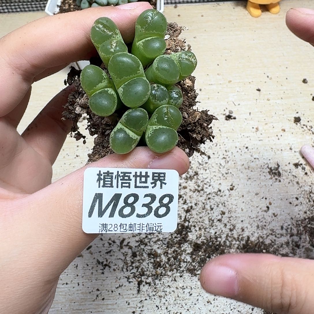 的润泽的润泽的多fg
