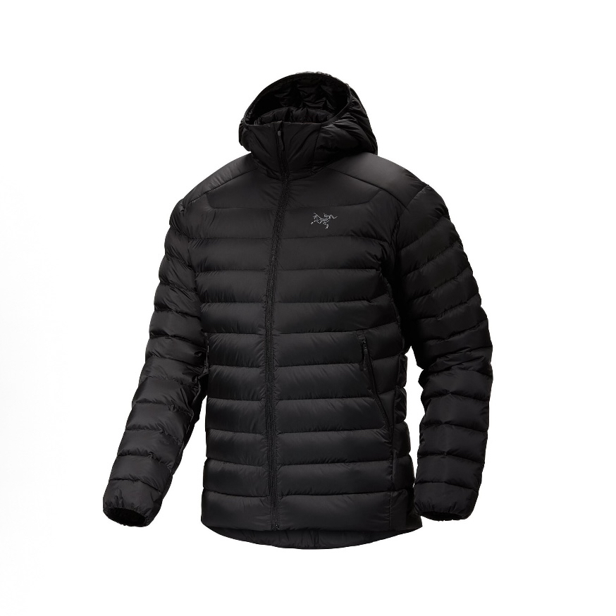 【双十二】Arcteryx始祖鸟Cerium 850蓬鹅绒保暖连帽排骨羽绒服