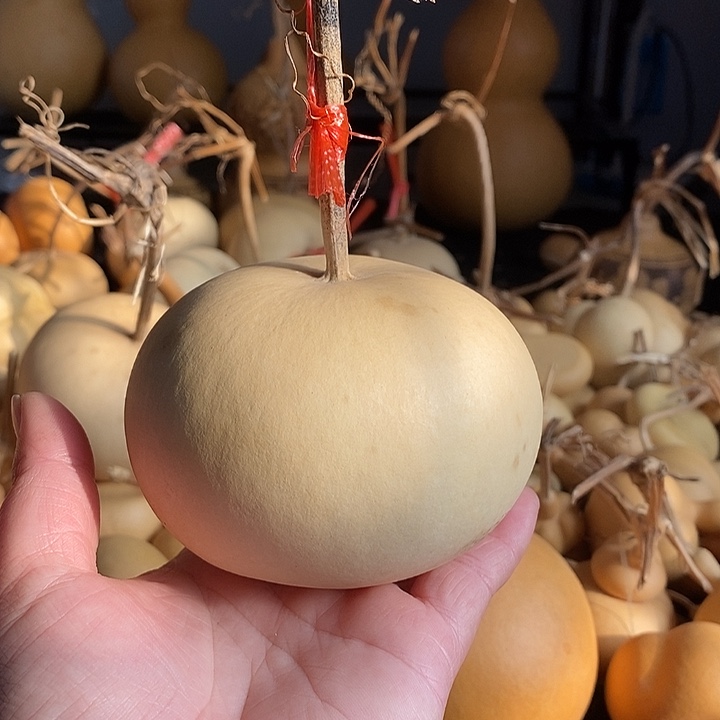 牙****?葫芦的颜色很好看