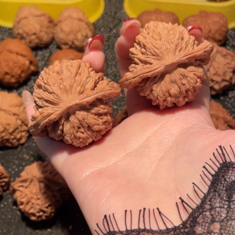 桃核吊坠8****7四座楼全品