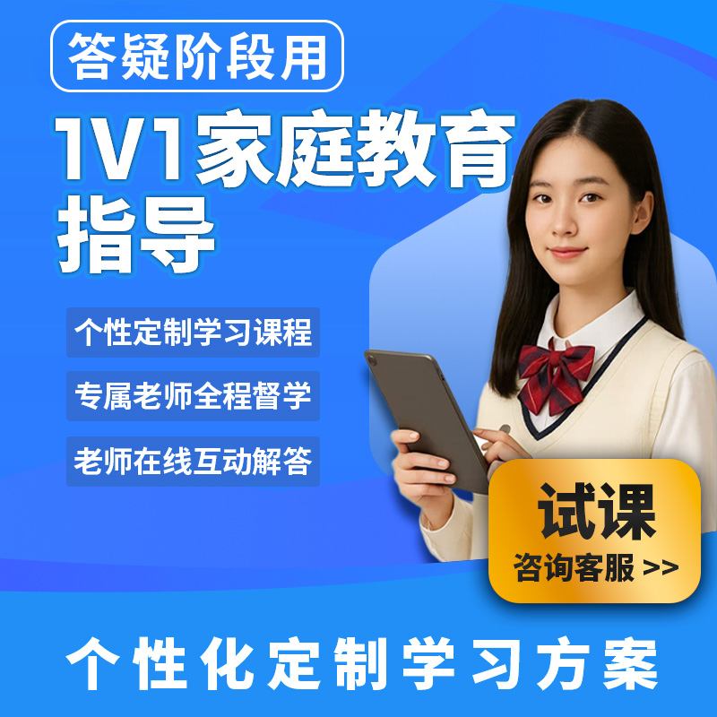 线上1v1专业网课在线指导家教补课作业小初高一对一辅导伴读正课