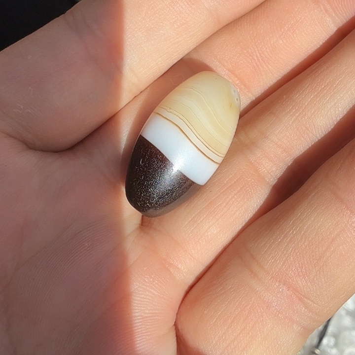 虎***s吊坠白玉菩提哈哈哈哈哈哈哈哈哈哈哈