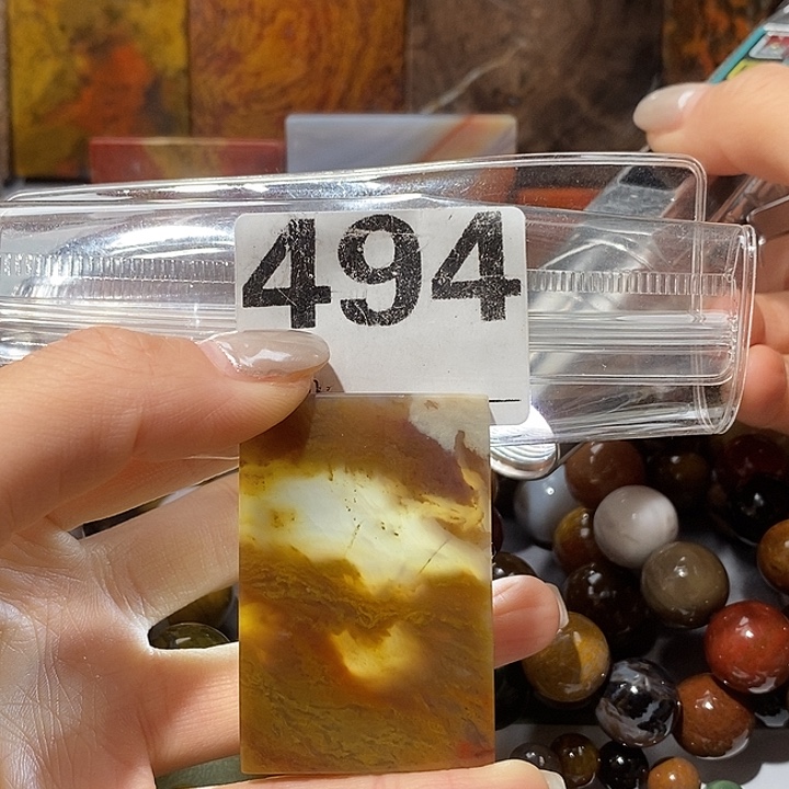 硅化玉未镶嵌天然北票树化玉吊坠