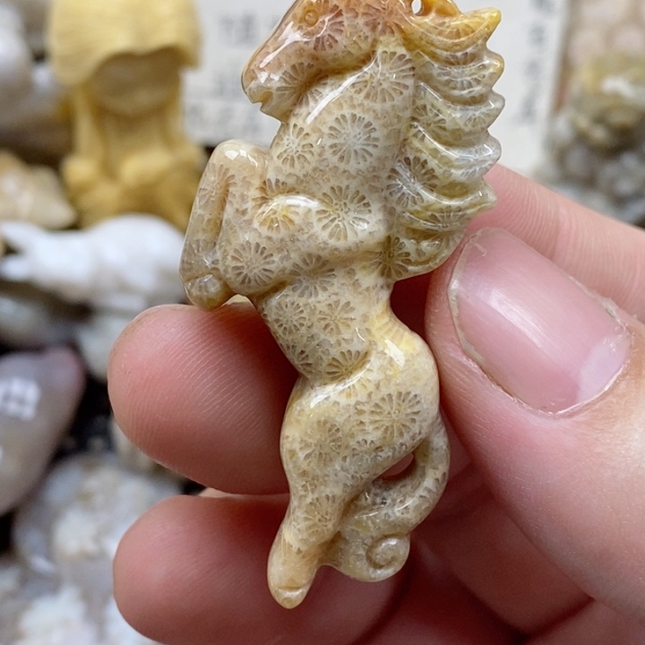 颈饰未镶嵌硅化珊瑚（珊瑚玉）