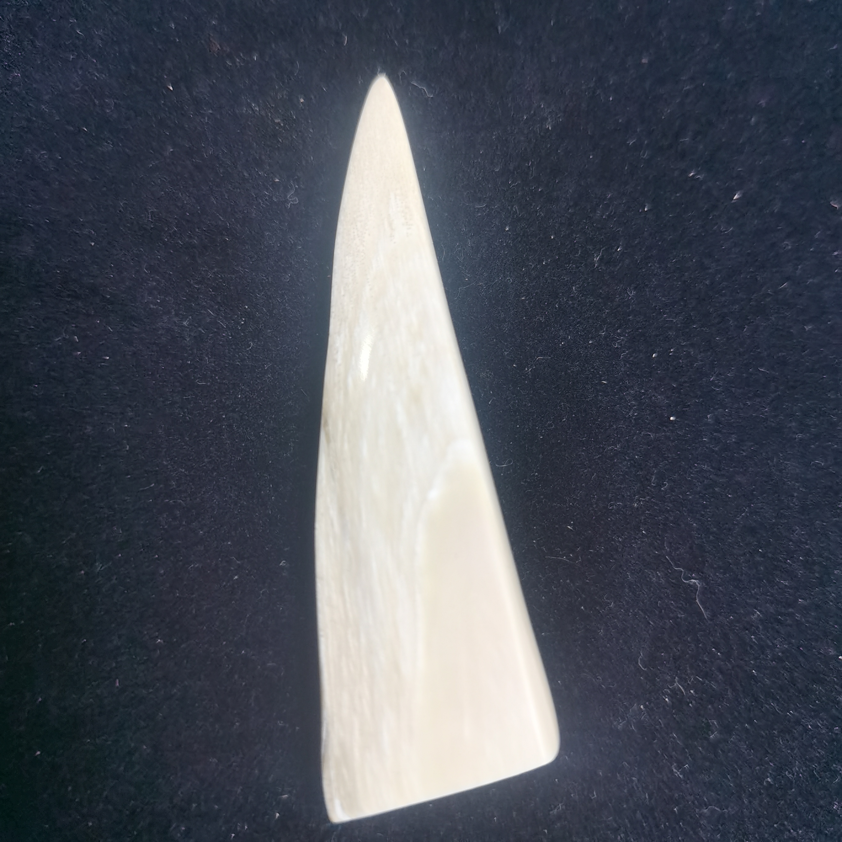 猛犸雕刻牌约9克BC755