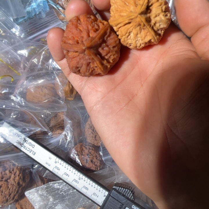 吊坠文玩核桃滇西38