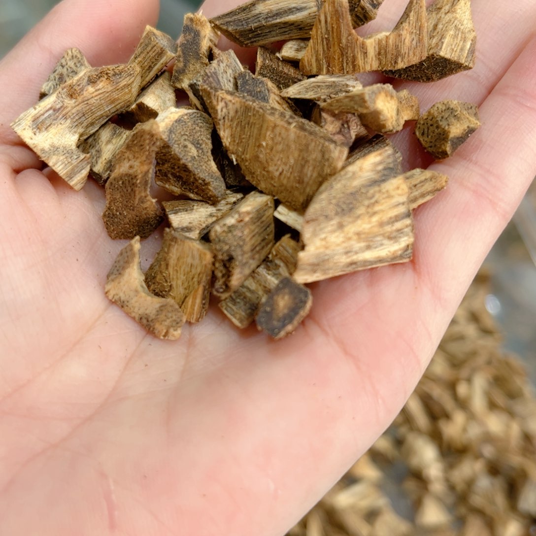 香榧木海南木料种植绿棋碎料12克