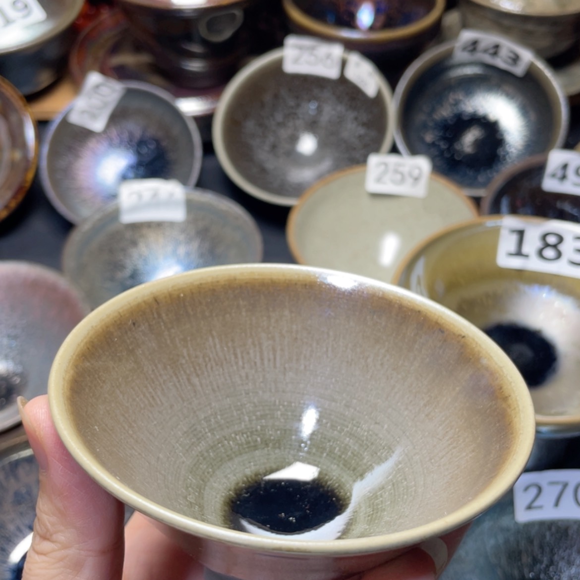 【闪购商品】茶盏688。        不。 