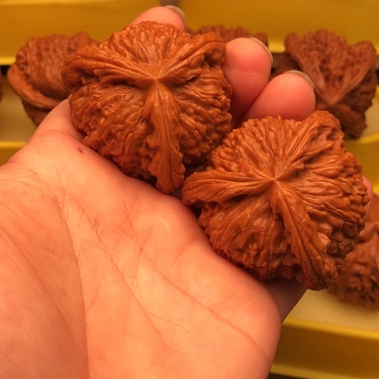 心***静核桃核桃核桃核桃核桃，窜