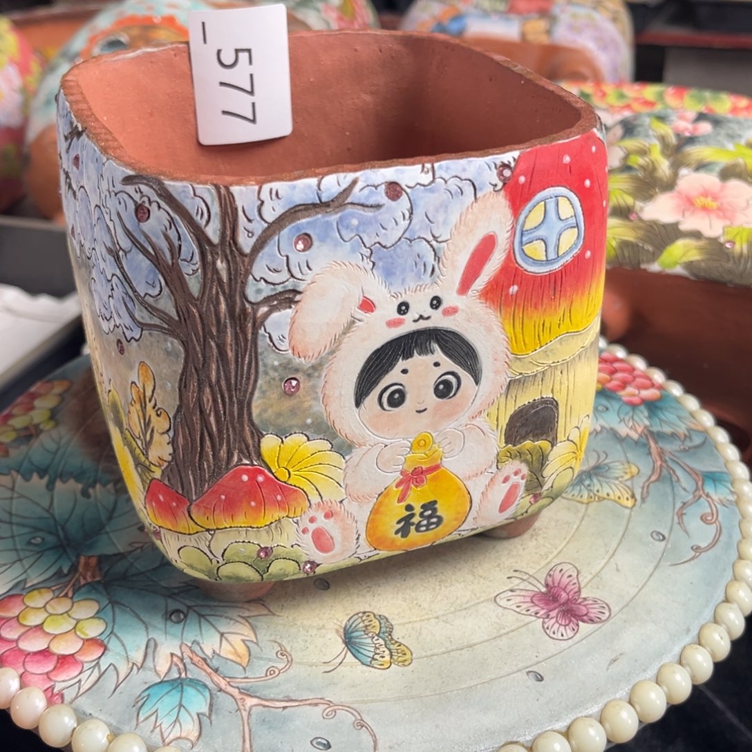 神***神577多肉花盆200元1个