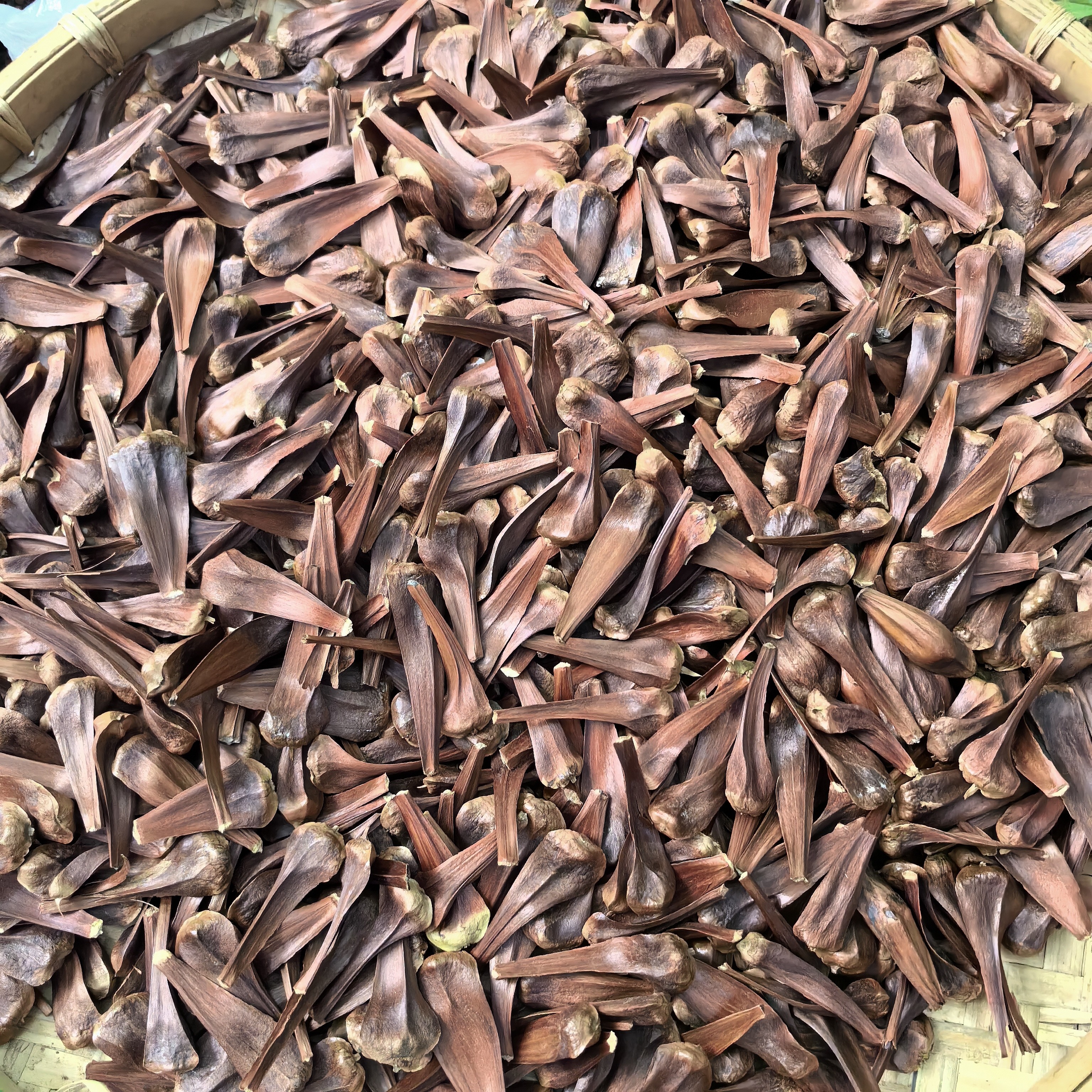 云南野生山货【不～老～花】干货土特产