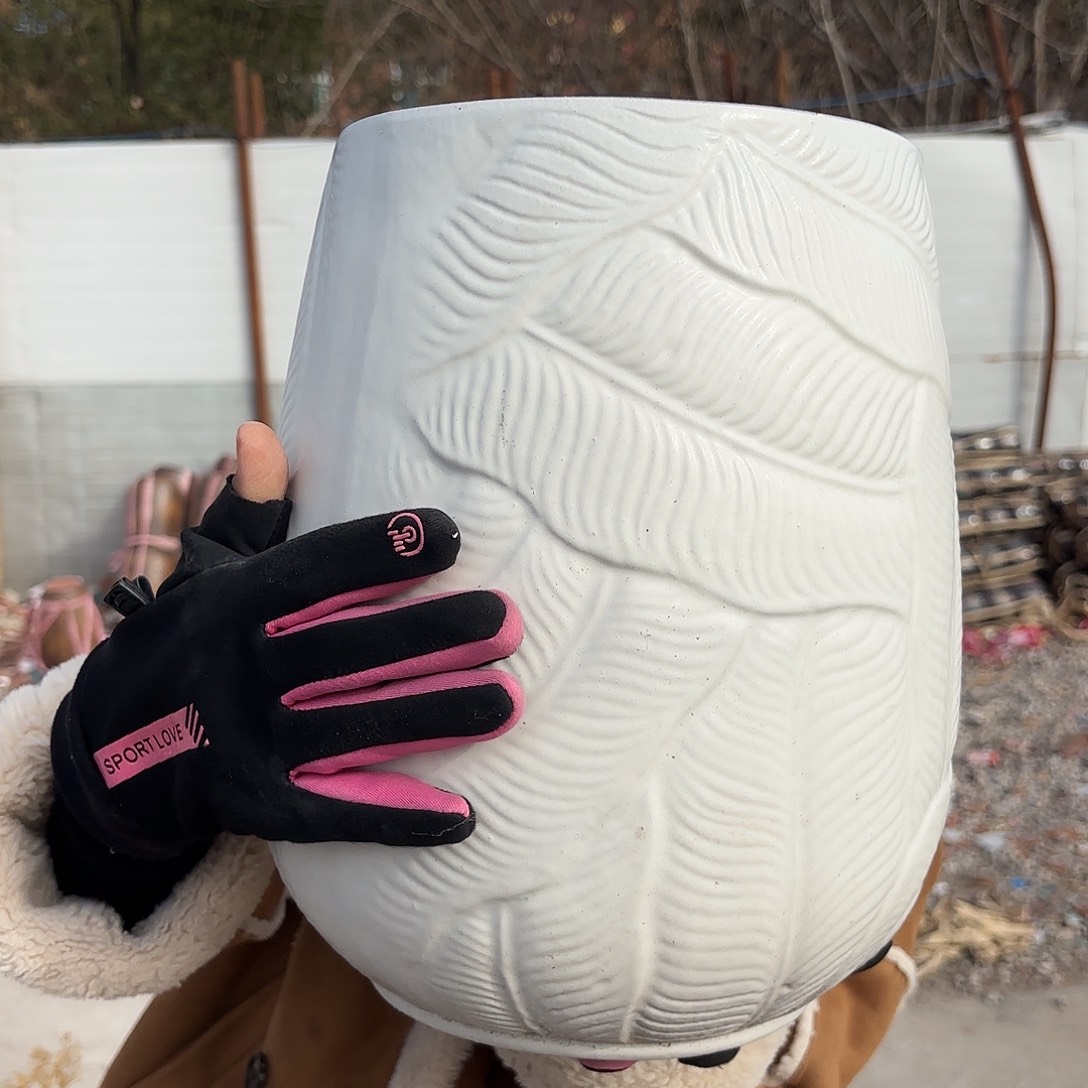 口径21高31一个芭蕉叶