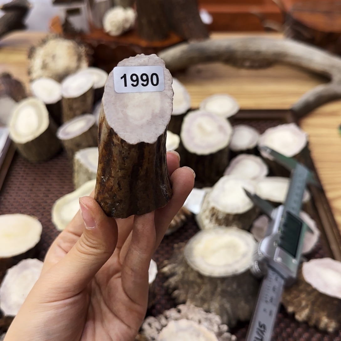 手串/手链鹿骨1990根段