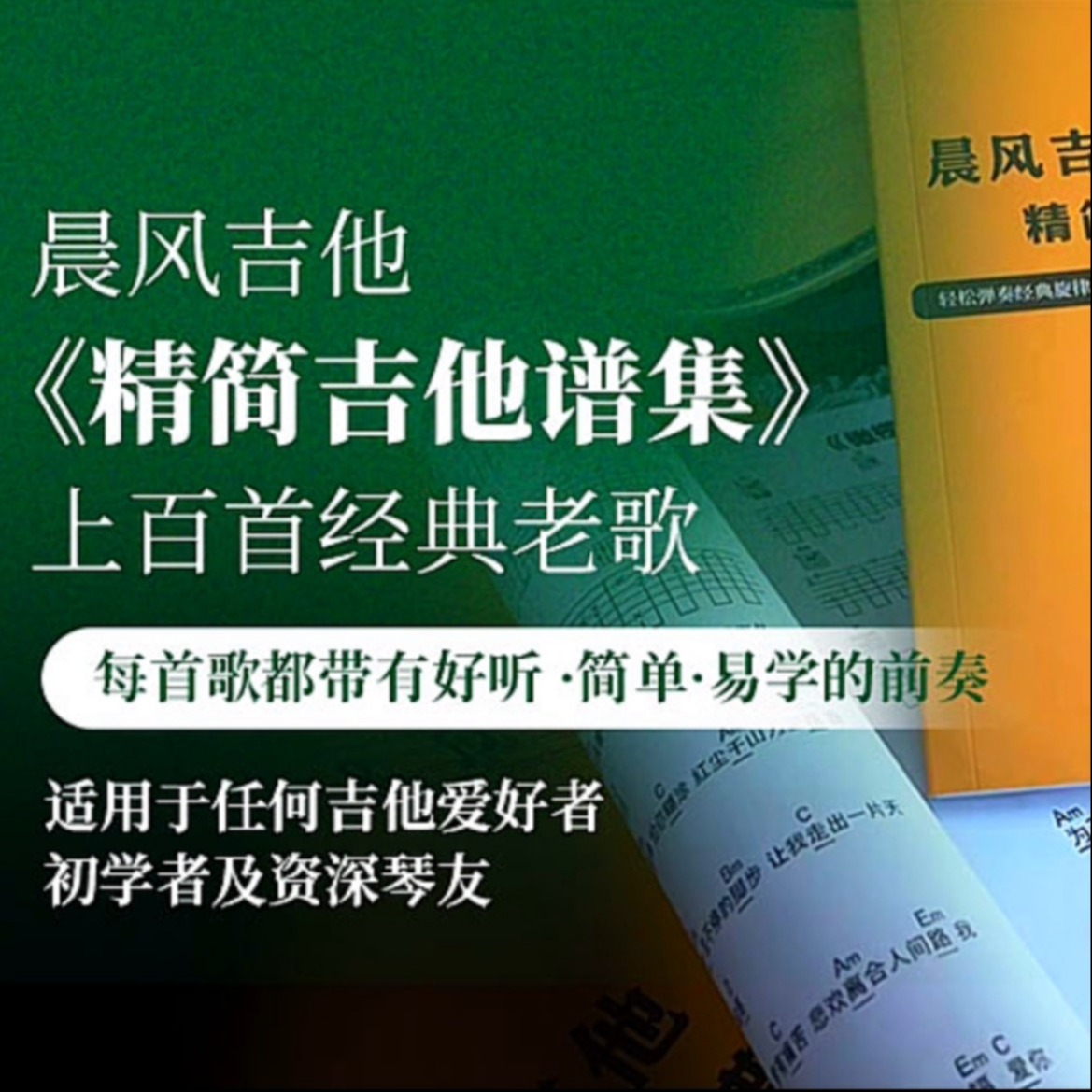 《经典流行金曲吉他谱》纸质版2