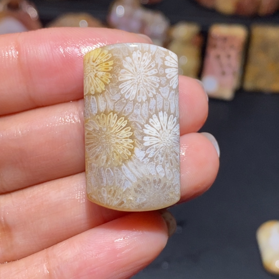 【闪购商品】硅化玉颈饰未镶嵌