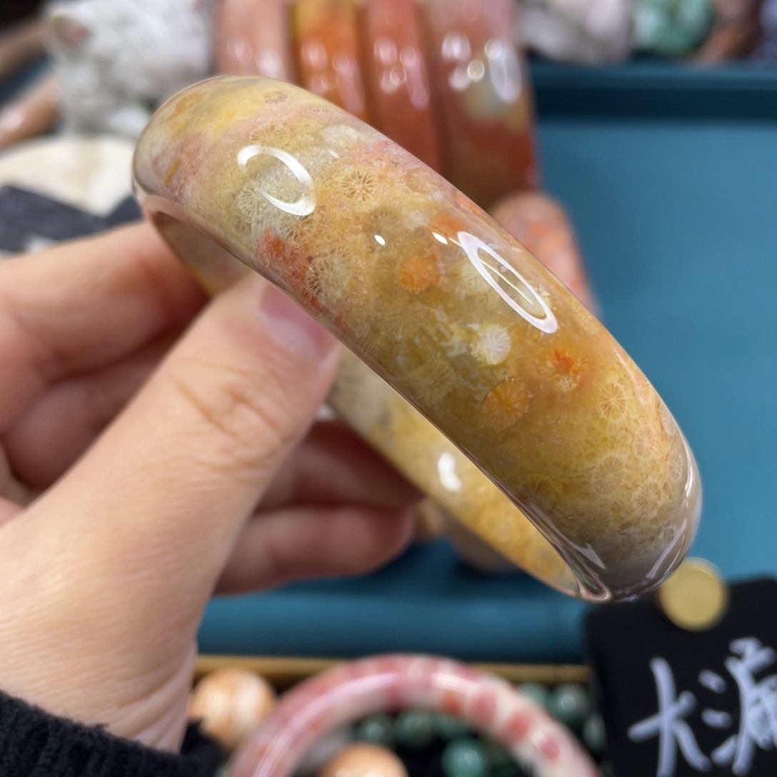 未镶嵌手镯硅化玉