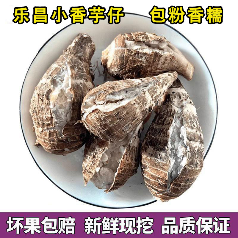 韶关乐昌张溪炮弹香芋仔新鲜蔬菜小芋头槟榔芋粉糯毛芋现挖现发
