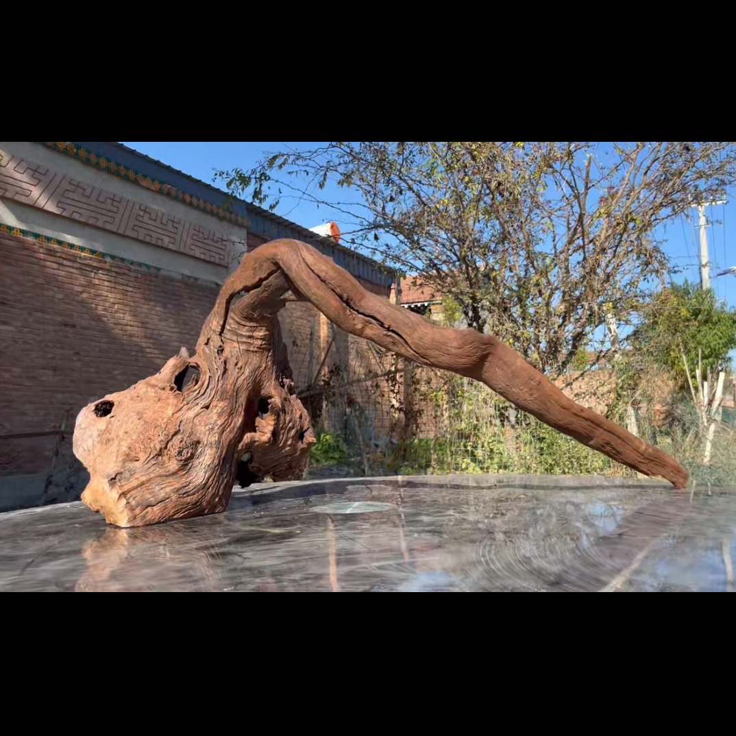 尺寸：108✖️30✖️45，鱼缸造景沉木摆件，紫柚木，秒沉包煮，树桩沉木