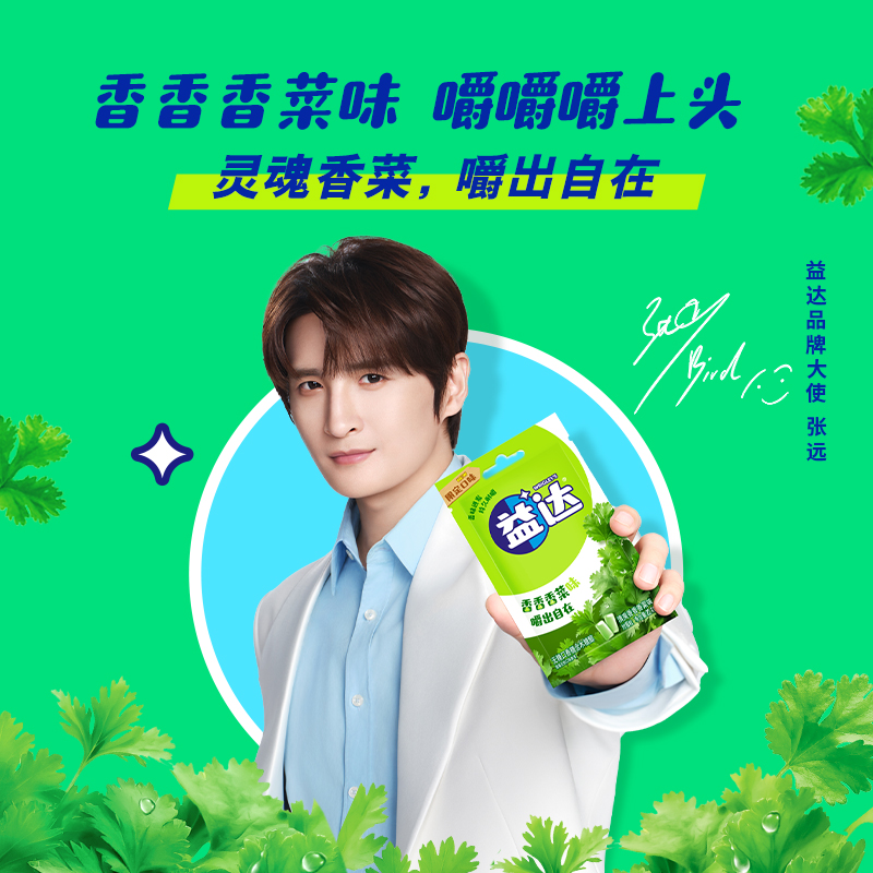 【张远同款】限定清新香菜味口香糖清新口气休闲办公室解馋糖果 DR