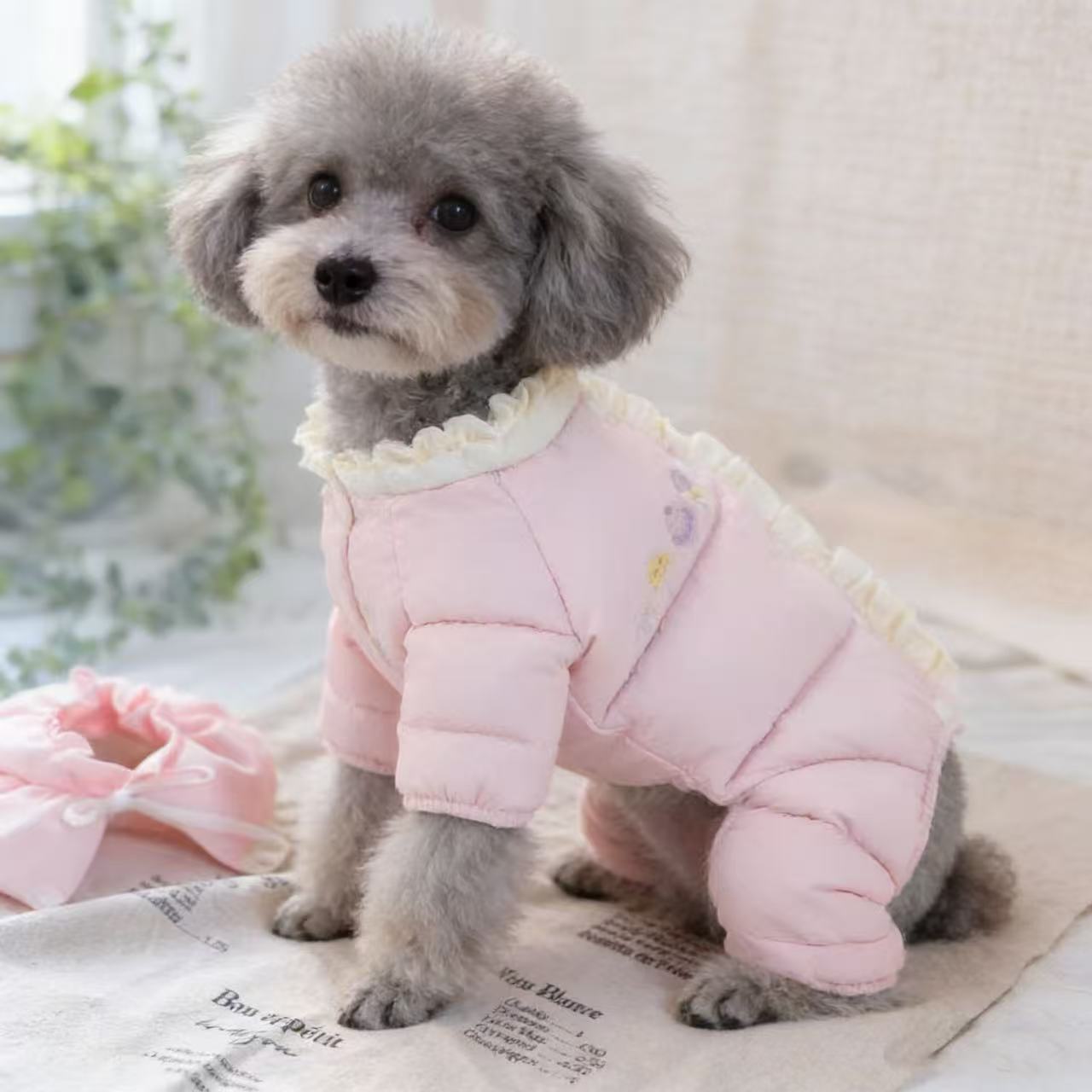 宠物秋冬保暖棉服马尔济斯泰迪雪纳瑞狗狗猫咪可爱花边保暖外套