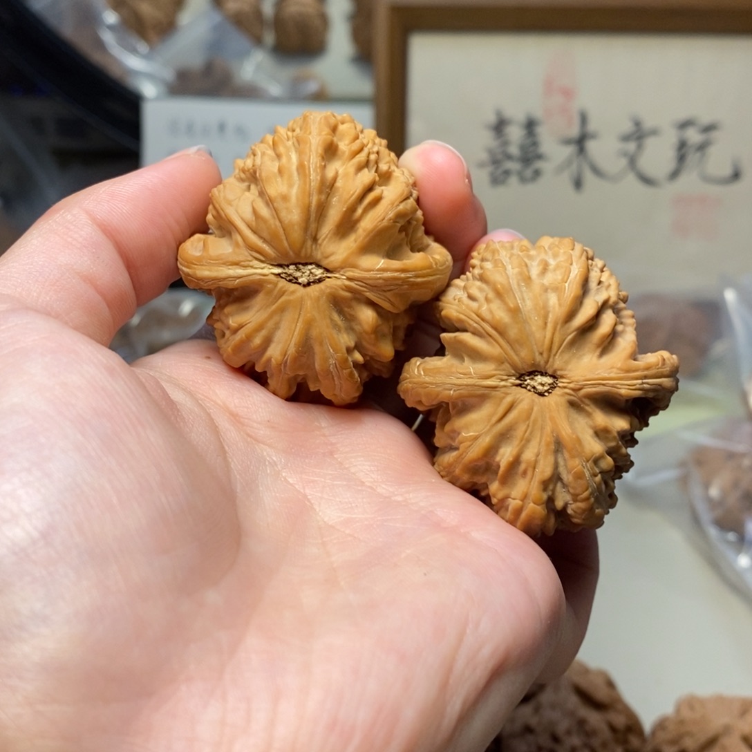 把件文玩核桃42白狮子