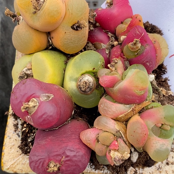 2080一组一组一组