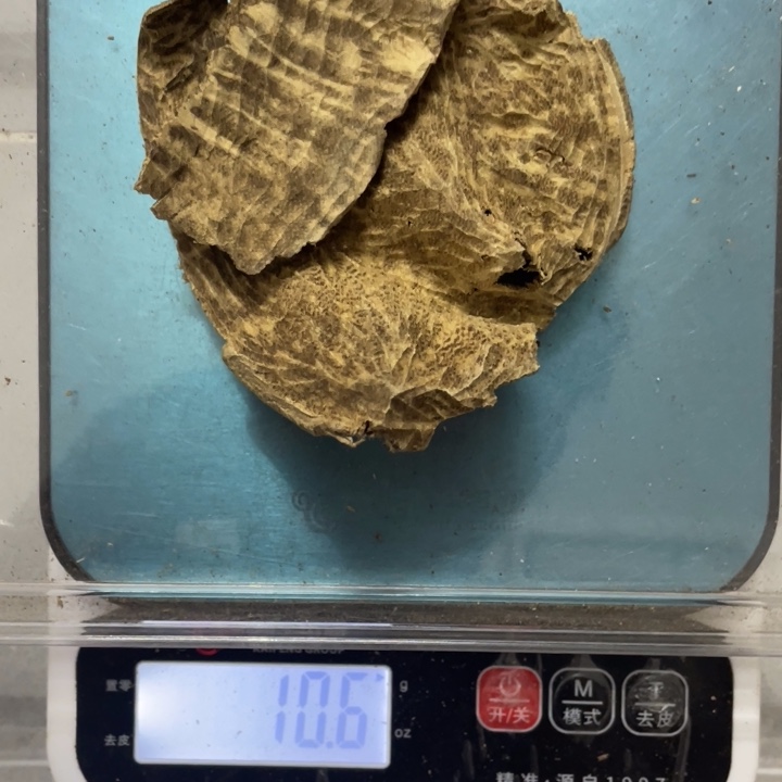 G***y沉香沉香枕海南老顶