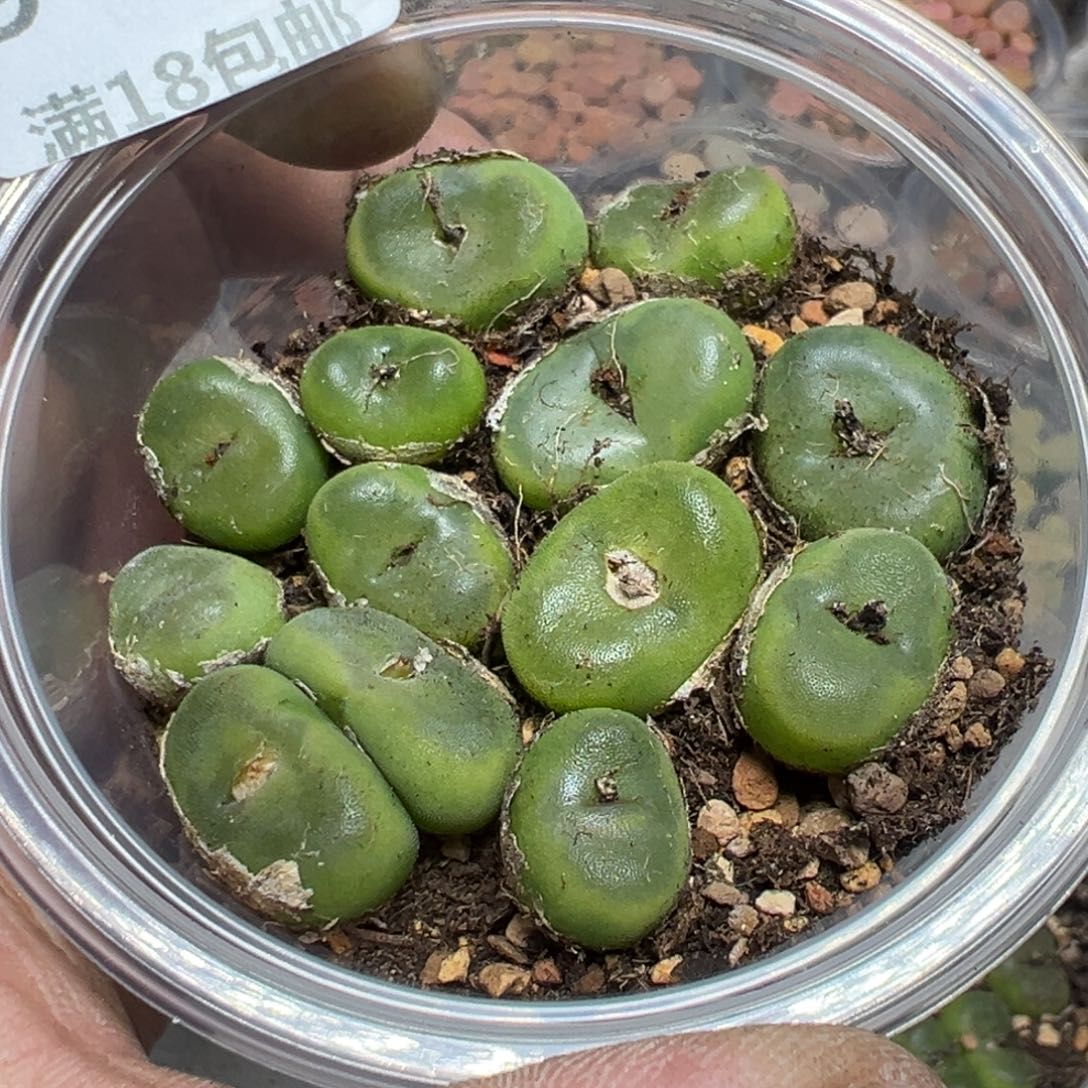 【闪购商品】 947。     