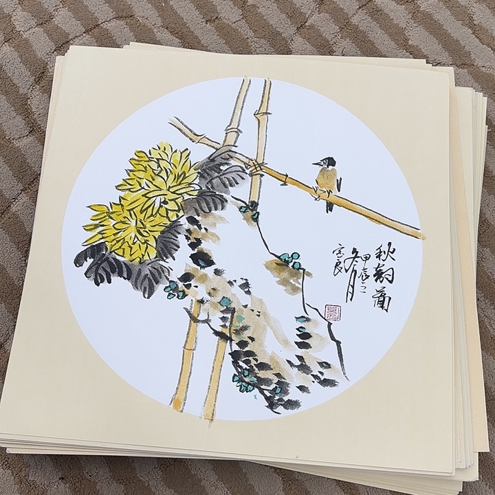 国画花鸟的翅膀和羽毛38.38