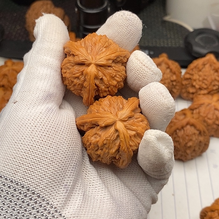 四***惑核桃手串/手链拼接白狮26