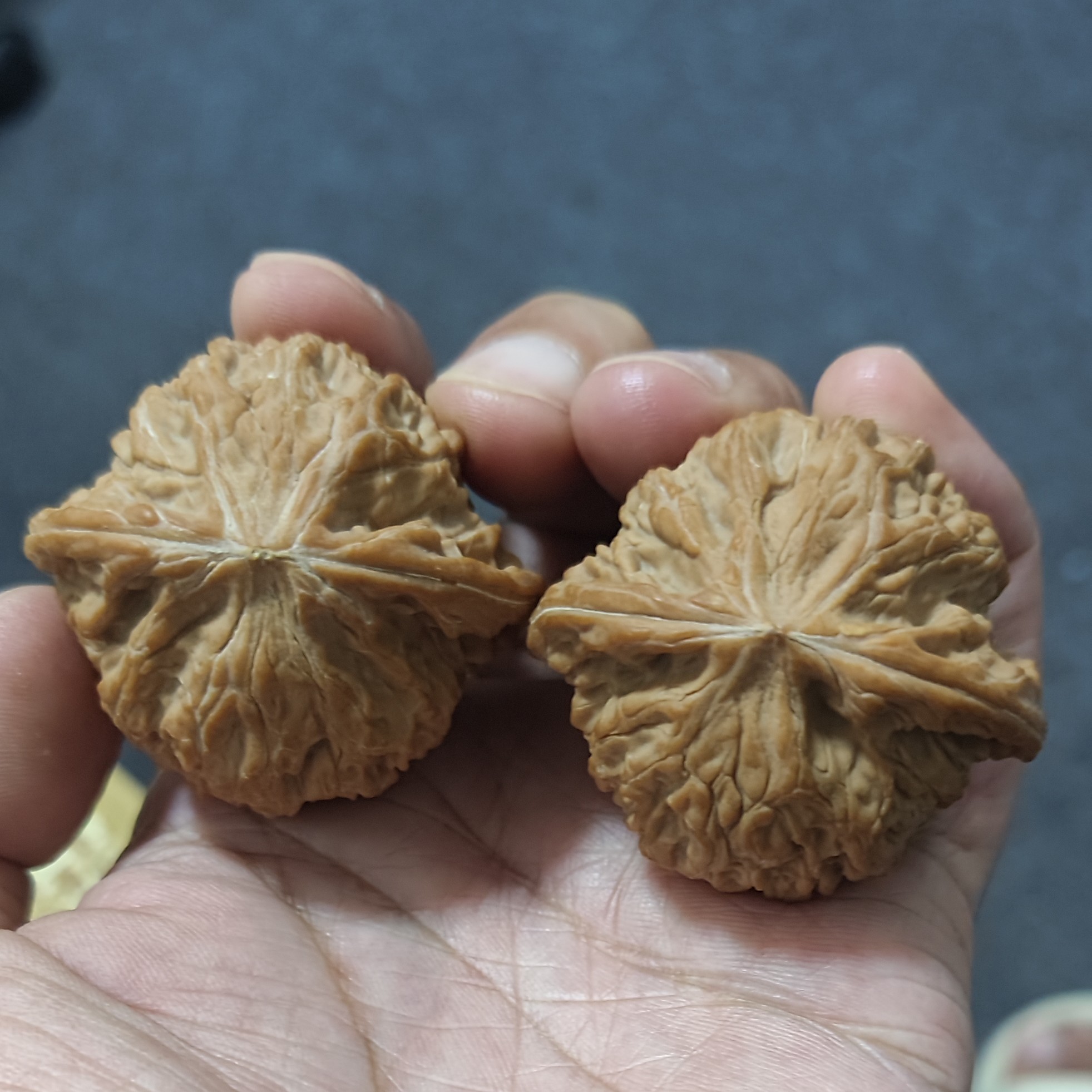 全品正磨盘头茬精配～边44肚40高36
