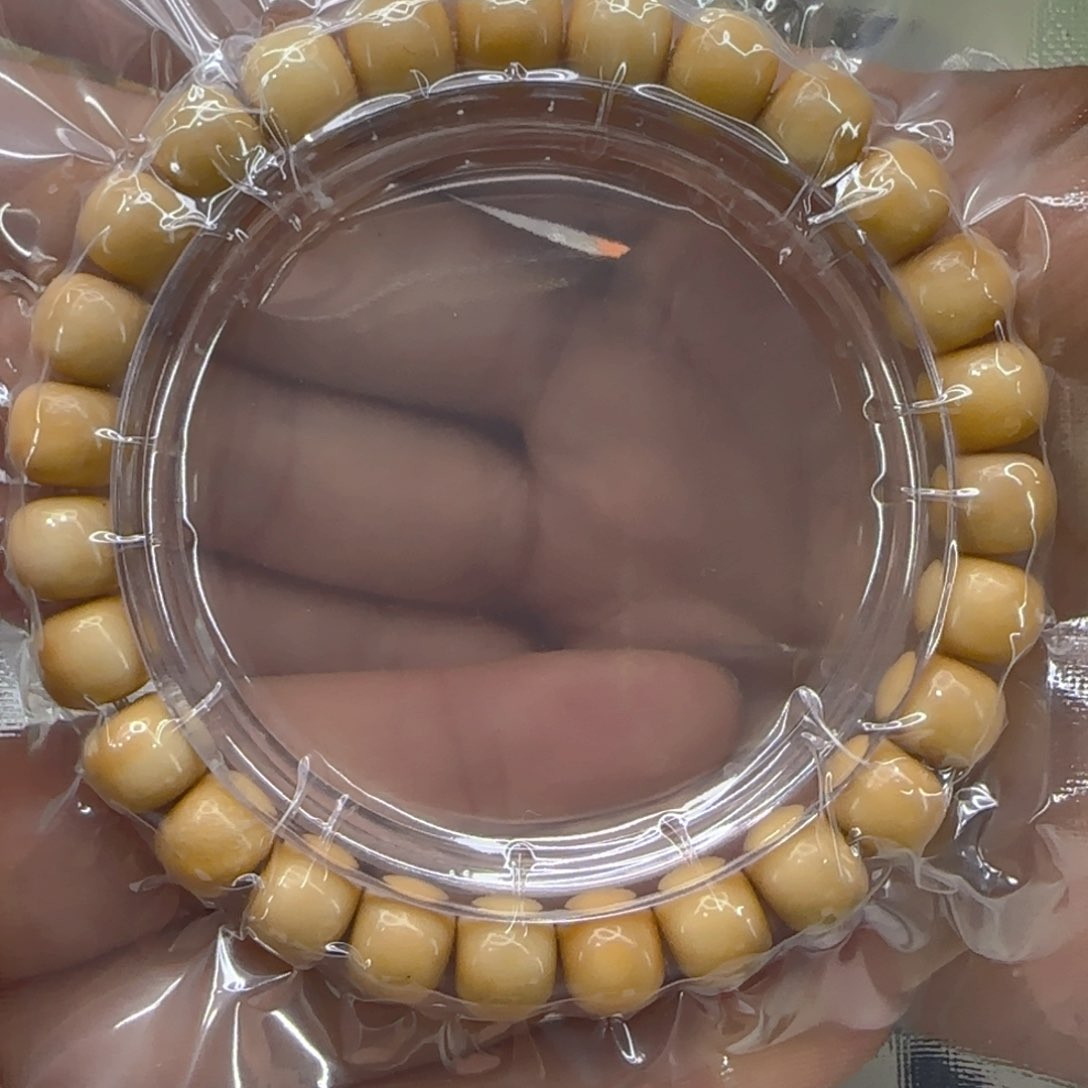 星月菩提手串22傲世龙脊菩提98桶单圈