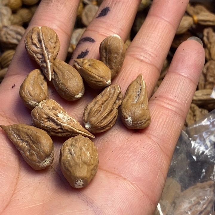 梵***枫文玩核桃吊坠东北我特产151