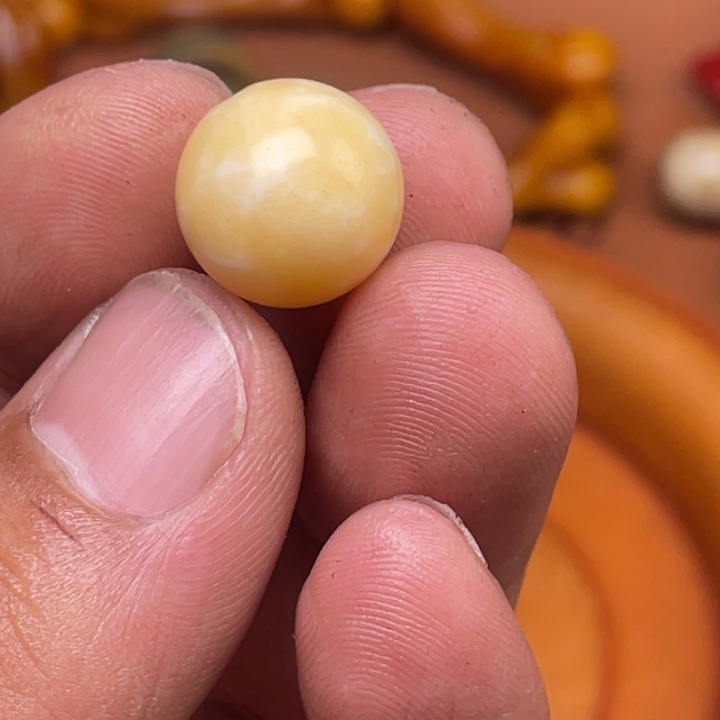 驼骨其他人工养殖