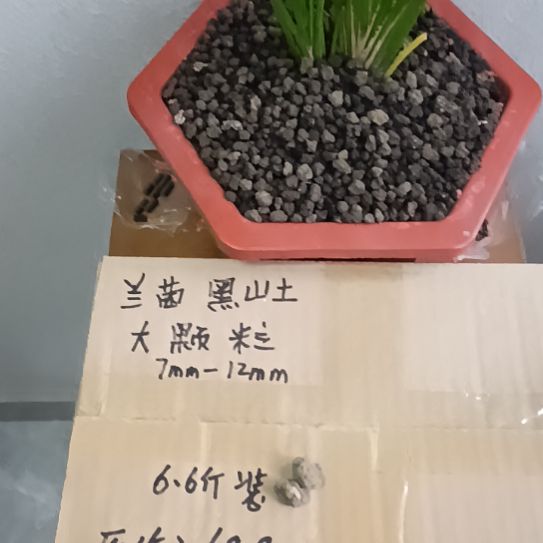 娟***兰菌黑山土大颗粒6.6斤