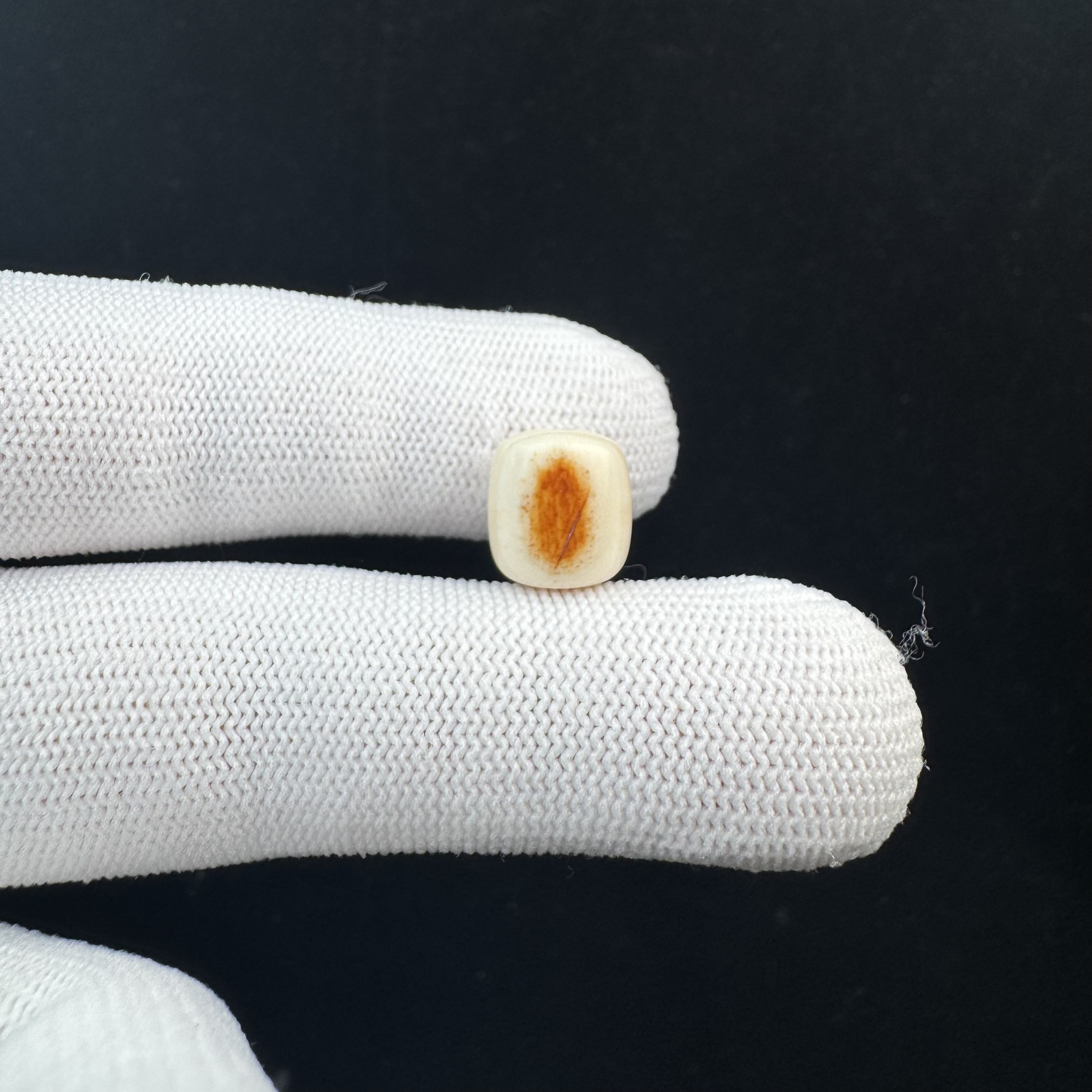 J2063天然猛犸牙 黄金皮桶珠10.2*11.2mm 一物一图 假一罚十