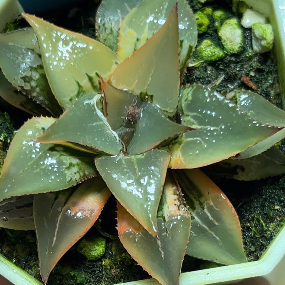 恭喜发财大吉大利948